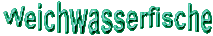 www.weichwasserfische.de