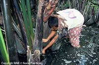 One hand close the entrance, the other scare them with a little stick